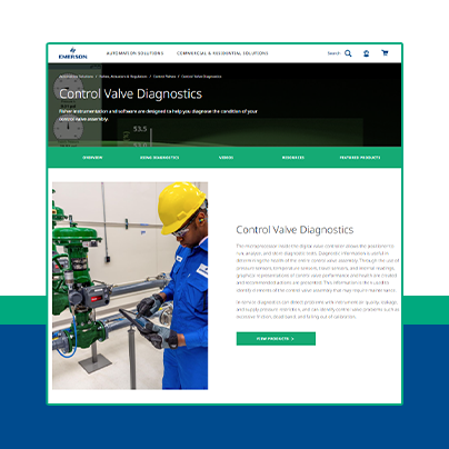 FIELDVUE Control Valve Diagnostics