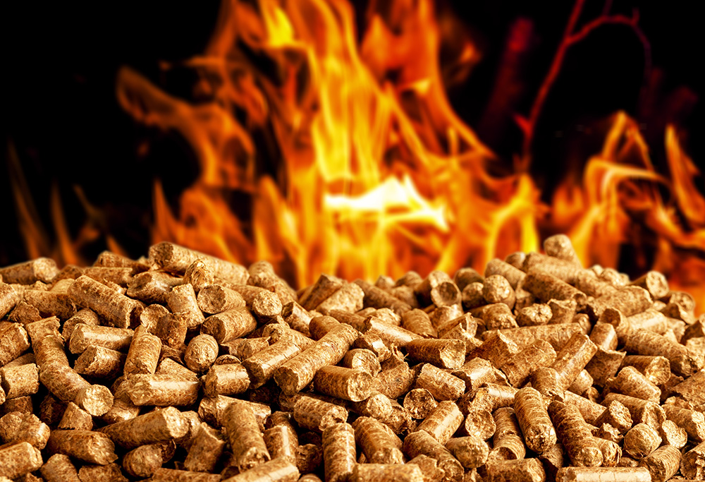 Combustion Biomass