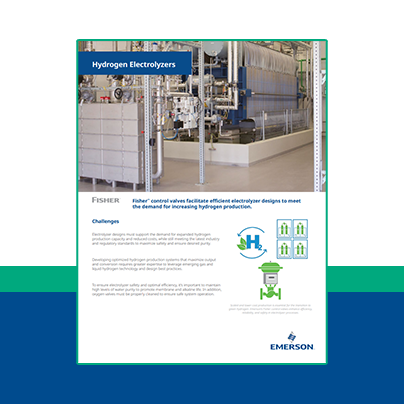 Control Valves for Hydrogen Electrolyzers