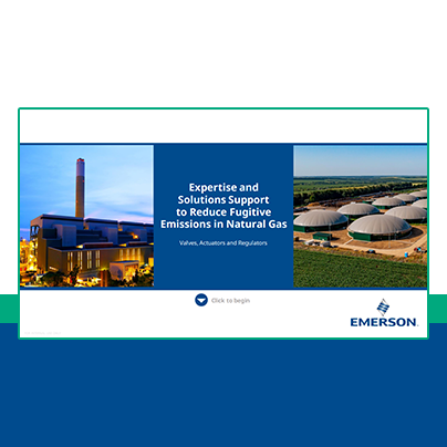 Natural Gas Emissions Reduction for Valves, Actuators and Regulators 