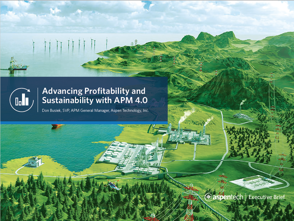 Advancing Profitability and Sustainability with APM 4.0